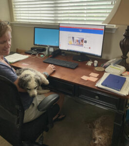Inquisitive Canine Take Your Dog to Work Day