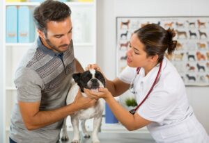vet visit with dog