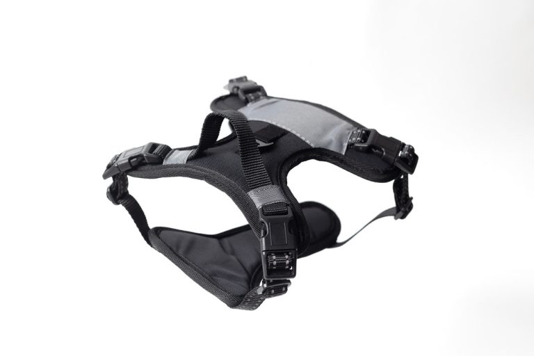 North Star Dog Harness