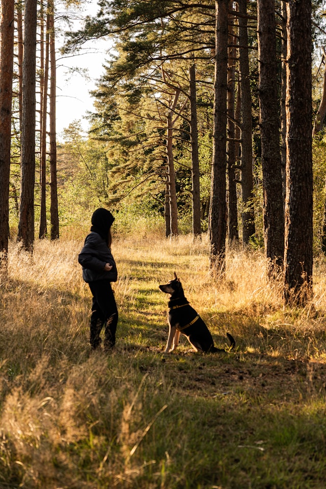 woman and dog on path sitting facing each other