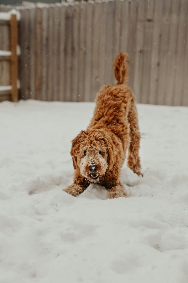 brooke-cagle-O2fNaqTXa_Q-unsplash