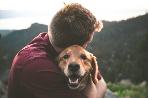 dog and doggy dady