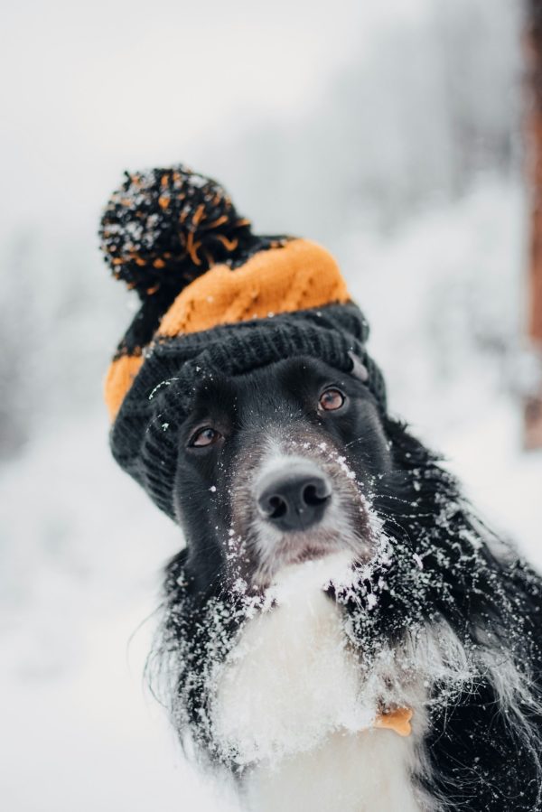 tadeusz-lakota-eV_iPlkHwgQ-unsplash